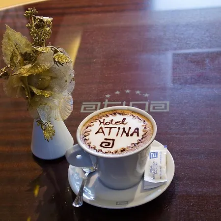 Hotel Atina